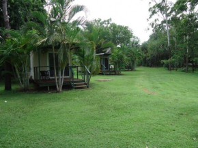  Pandanus on Litchfield  Batchelor